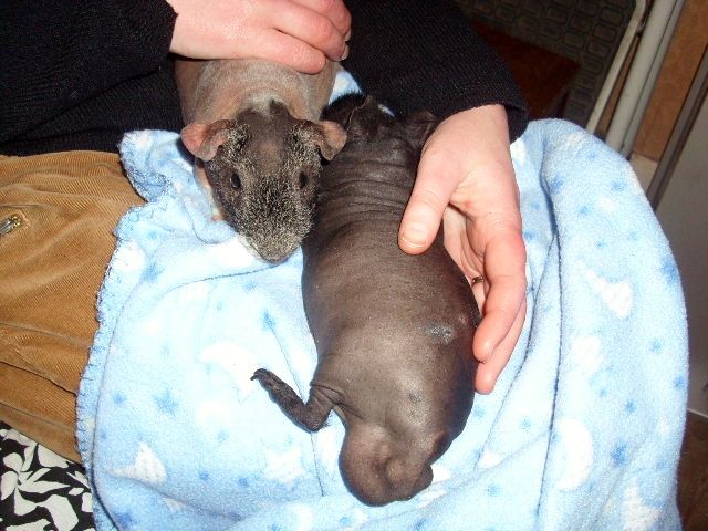 2012-12-14AmosampNedf_zps6367d0cb.jpg