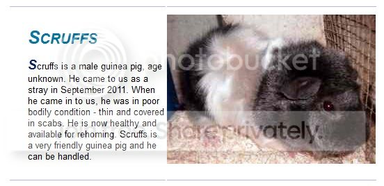Scruffs_zpsc33719ba.jpg