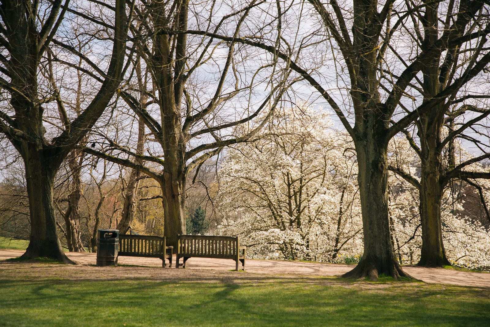 mb hampstead heath england 2019 photo i-tmDDGLT-X3.jpg