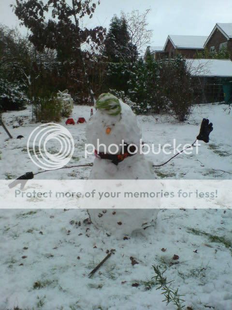 snowman2009.jpg
